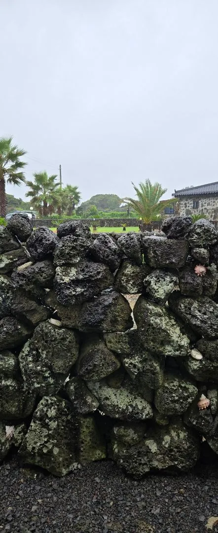 [Gujwa, Jeju] Hadori Byeolbangjin Gamseongsukso 27