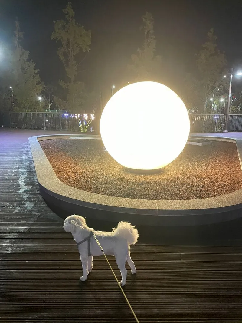 [부산 기장] 일광해수욕장 오션뷰16층 45