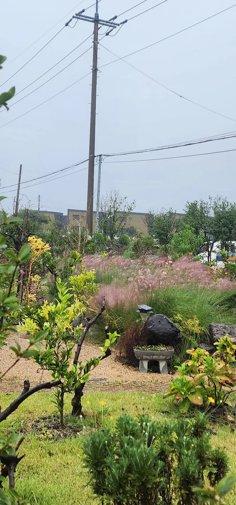 [Hallim, Jeju] Newly built detached house with outdoor jacuzzi 14
