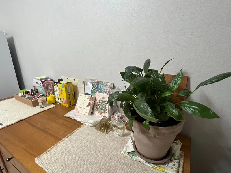 [강원 속초] chaleureux À 3 room #영랑호5분 #러닝 11
