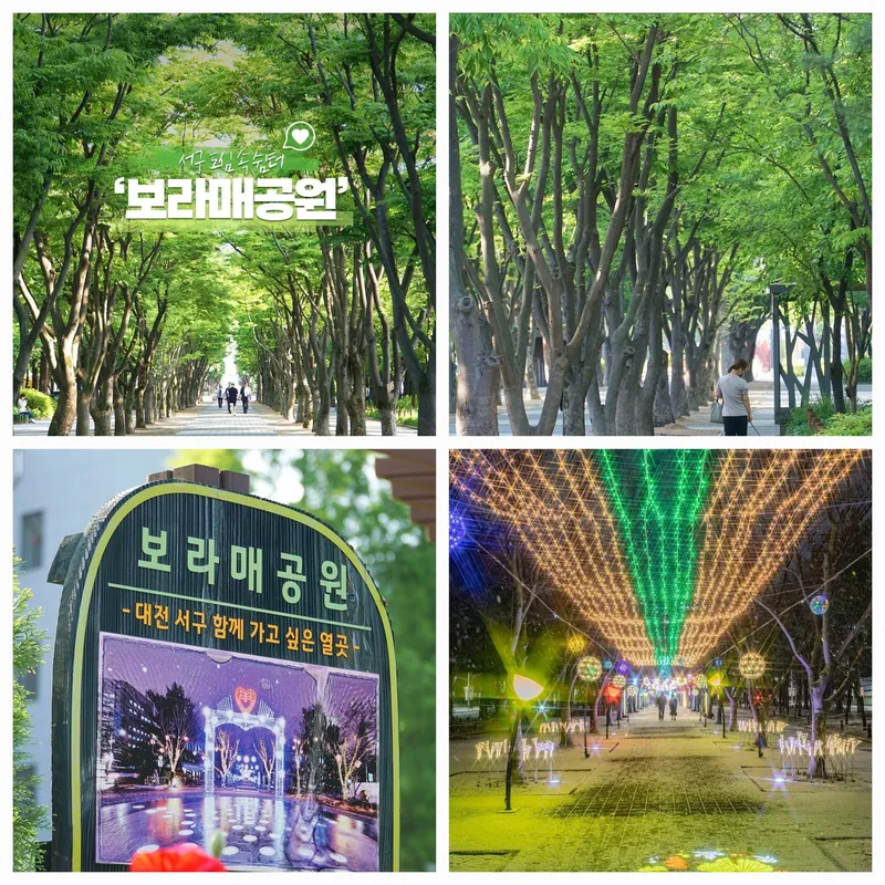 [대전 서구] 둔산·괴정, 탄방·용문동 풀옵션 아늑한 주차 가능 초특가 19