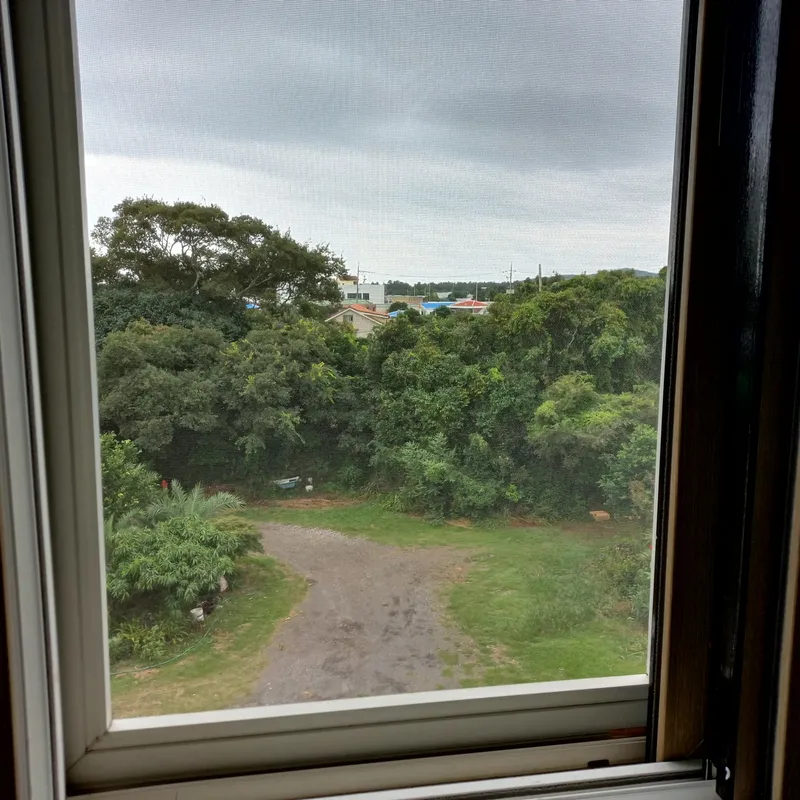 [Pyoseon, Seogwipo] 201, a country house full of humanity in a palm tree forest by the sea 17