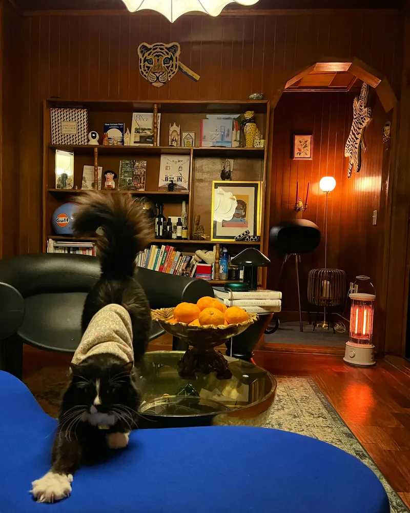 [Gujwa, Jeju] Women-only accommodation with cats near Pyeongdae Beach 24