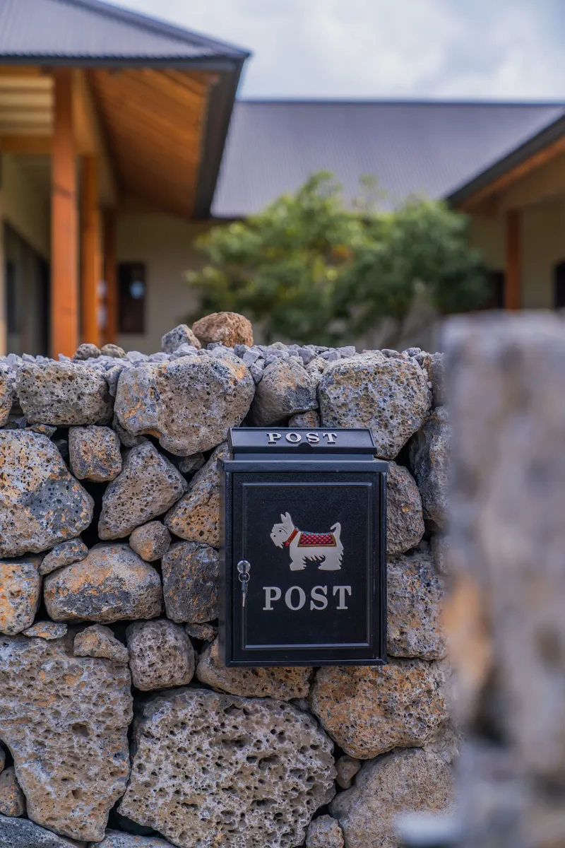 [Hangyeong, Jeju] Newly built accommodation with a lawn where pets can run around 21