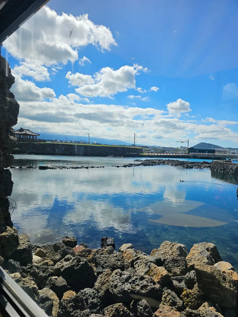[제주 조천] 바다앞 사계절자쿠지 넓은마당 투룸 #제주돌담#평상 7