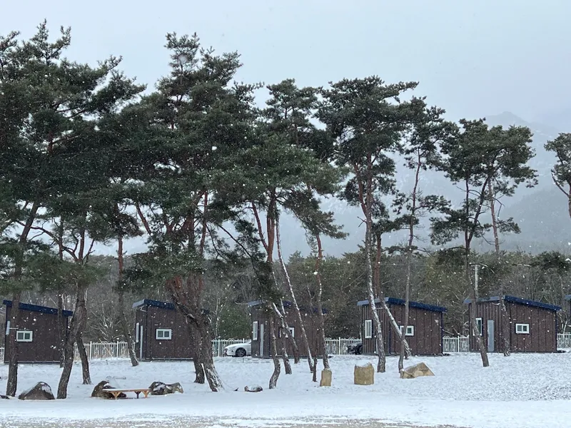 [Namwon] Jirisan Cheongmaekbanseok Far Infrared Ray Experience Free Lunch Bungalow 105 8