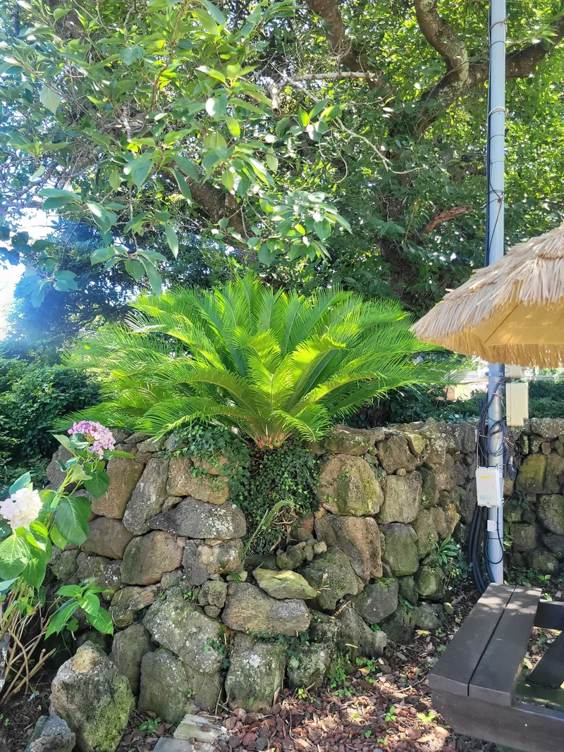[Aewol, Jeju] Lawn yard stone wall detached house annex #Pets allowed #Early check-in 34