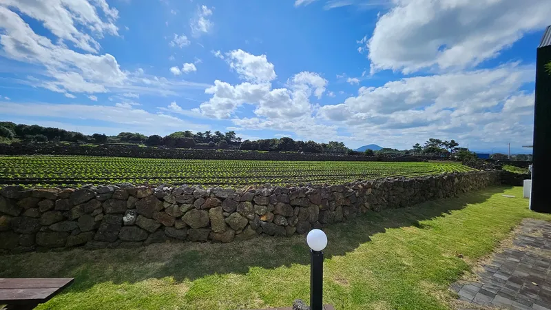 [Gujwa, Jeju] A detached house with a beautiful view of the sea, stone walls, and fields, 30 seconds from the entrance to the complex. 90