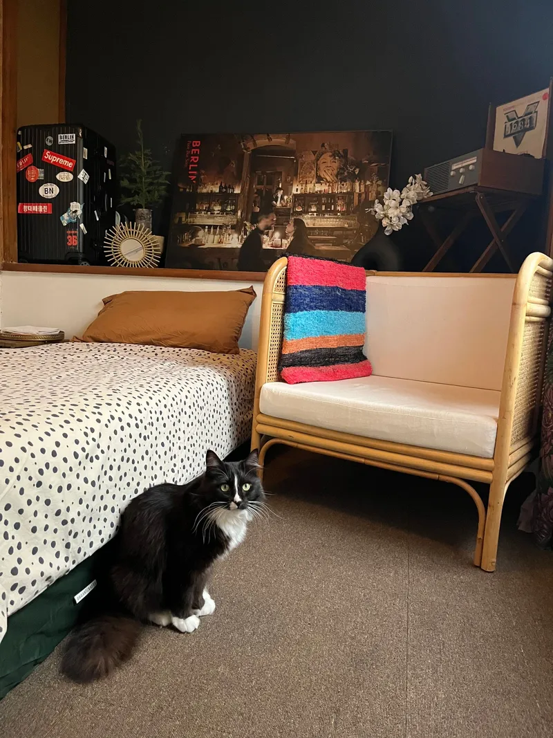 [Gujwa, Jeju] Women-only accommodation with cats near Pyeongdae Beach 10