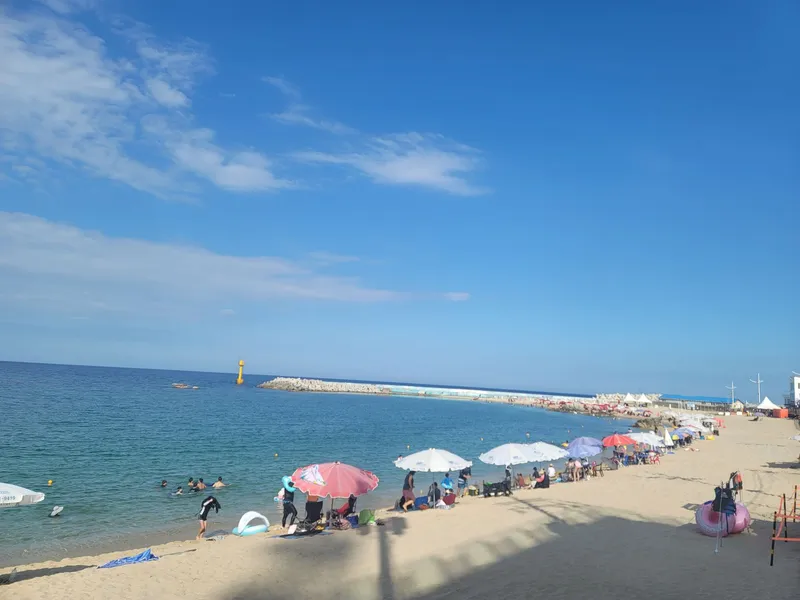 [Gangneung][Gangwon Gangneung] A7 21