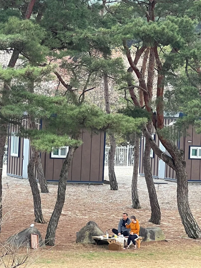 [Namwon] Jirisan Cheongmaekbanseok Far Infrared Ray Experience Free Lunch Bungalow 105 10