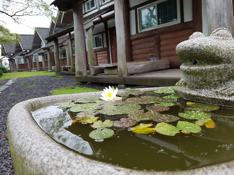[Aewol, Jeju] A quiet village with clean air and no car noise 201 5