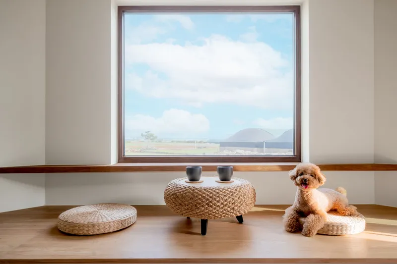 [Hangyeong, Jeju] Newly built accommodation with a lawn where pets can run around 30