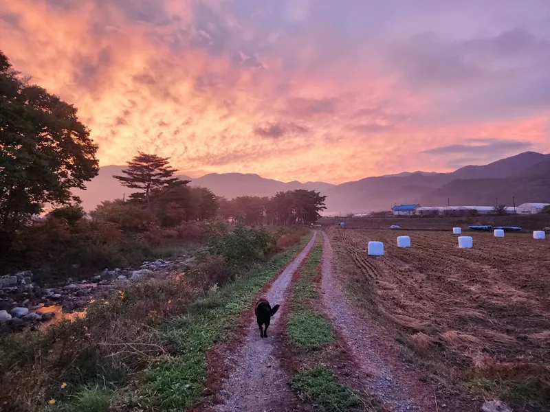 [Hoengseong] High-class three-room detached house in Chiaksan Bugok National Park #Pets allowed 87
