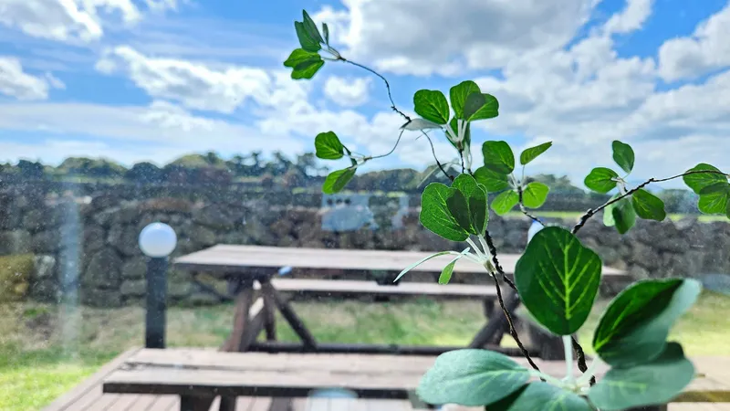 [Gujwa, Jeju] A detached house with a beautiful view of the sea, stone walls, and fields, 30 seconds from the entrance to the complex. 85