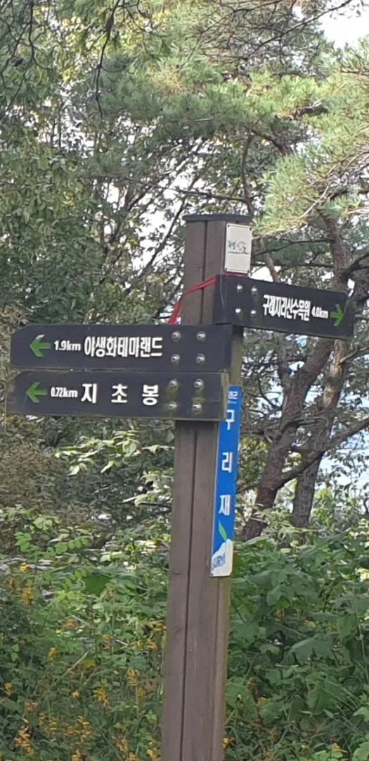 [전남 구례] 산동 수목원과 휴양림사이 숲속의 작은집 독채 마운틴 호수뷰 49