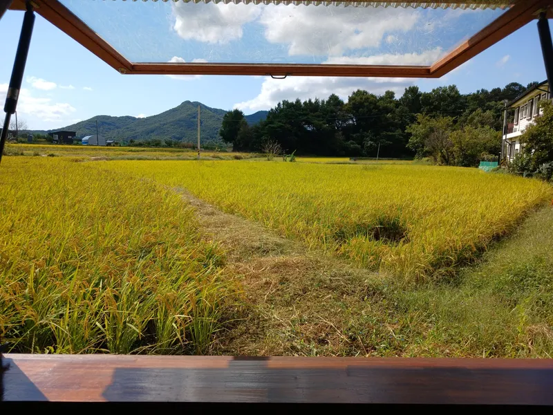 [충남 공주] 계룡산뷰#넓은 잔디마당 #투룸 독채#시골 감성#촌캉스 57