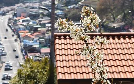 [강원 삼척] 삼척항과 바다를 품은 독정원과채 숙소 15