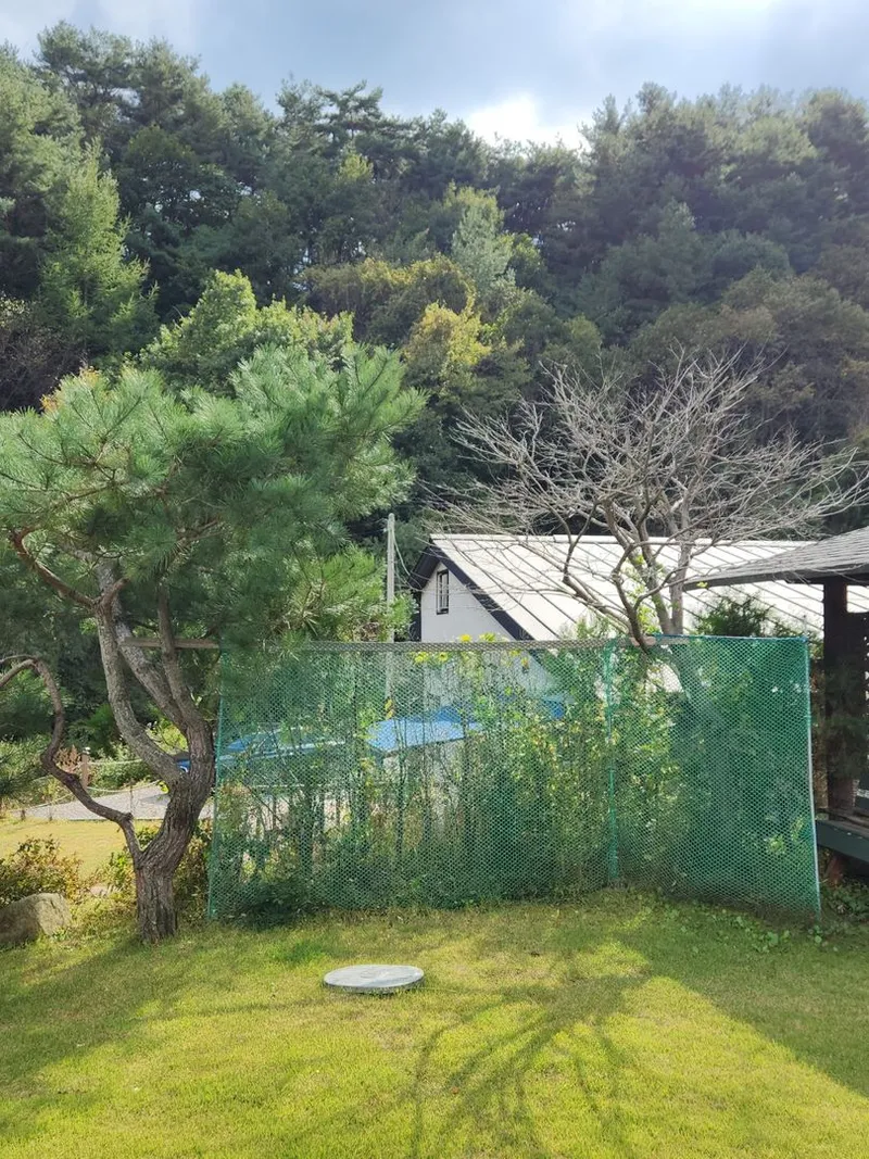 [강원 평창] 개인수영장이 있는 50평럭셔리단독주택 56