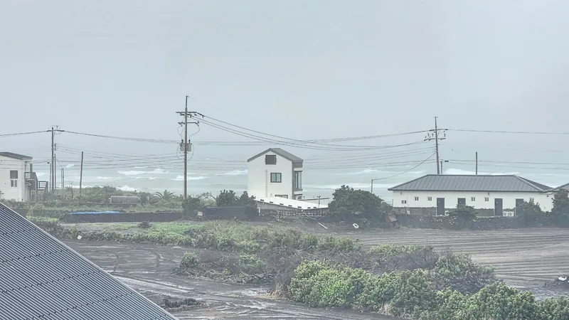 [Gujwa, Jeju] A detached house with a beautiful view of the sea, stone walls, and fields, 30 seconds from the entrance to the complex. 25