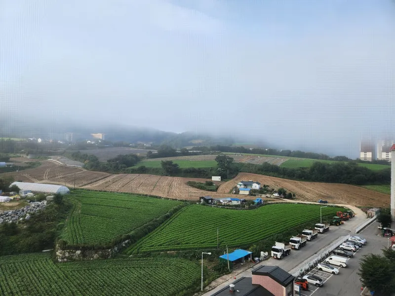 [강원 평창] 대관령 용평리조트인근 10