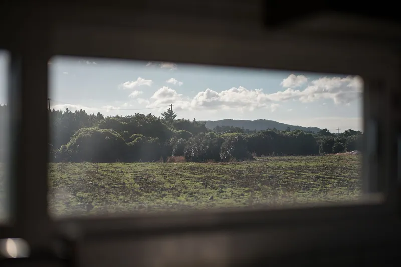 [Seongsan, Seogwipo] Stay with a view of Seongsan Sunrise Peak #Seongsan Sunrise Peak #View Restaurant B 18