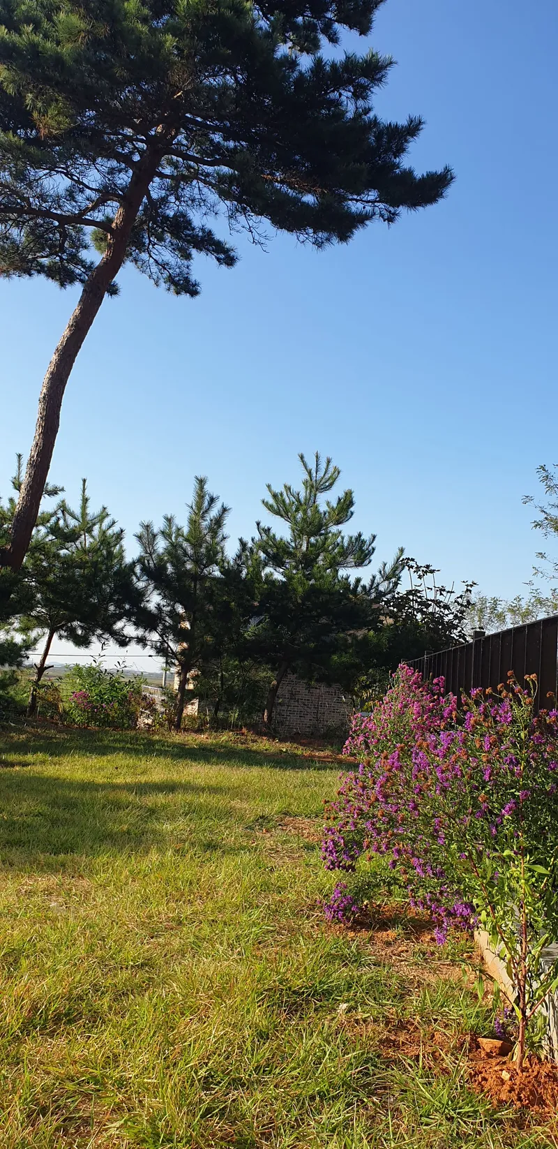 [Dangjin] Dangjin, South Chungcheong Province) Morning on the terrace/Villa in a country house/Room 5/1 hour from Seoul/12 minutes from the sea 68