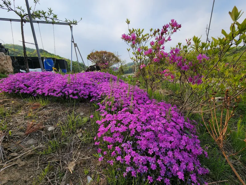 [Yangju][Gyeonggi Yeoncheon] Yeoncheon 1,000 pyeong independent country life 15