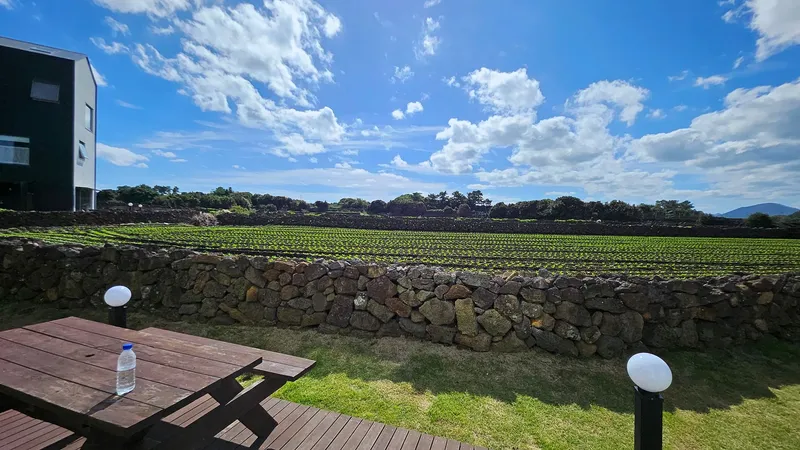 [Gujwa, Jeju] A detached house with a beautiful view of the sea, stone walls, and fields, 30 seconds from the entrance to the complex. 88