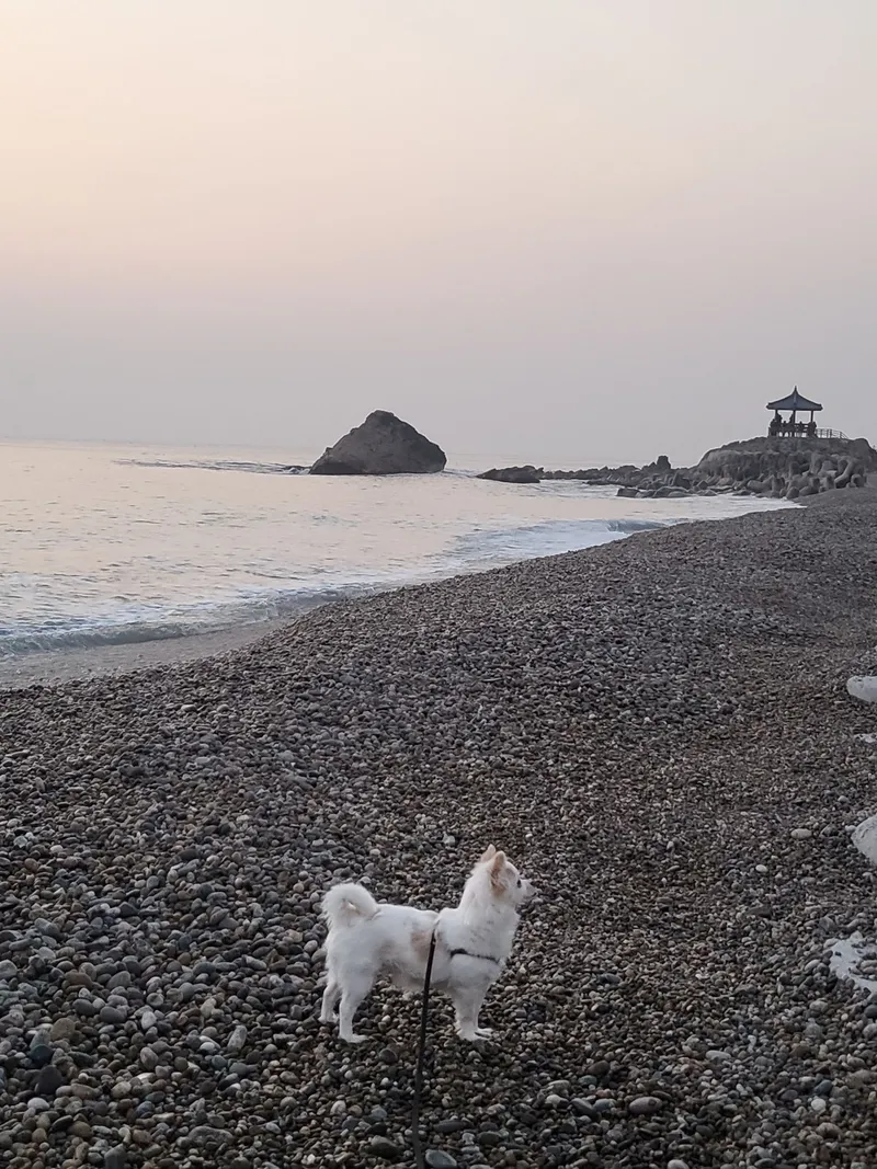 [경북 울진] 일출명소 2층 바다까지 스무걸음 27