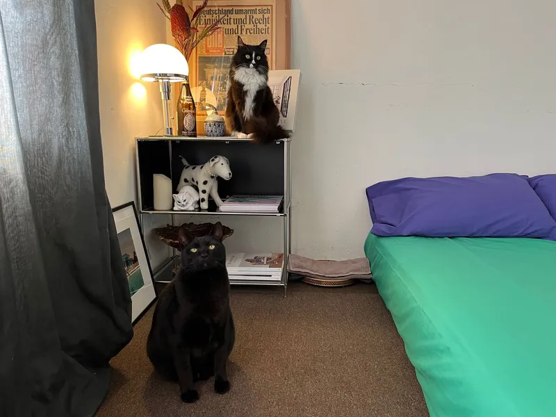[Gujwa, Jeju] Women-only accommodation with cats near Pyeongdae Beach 18
