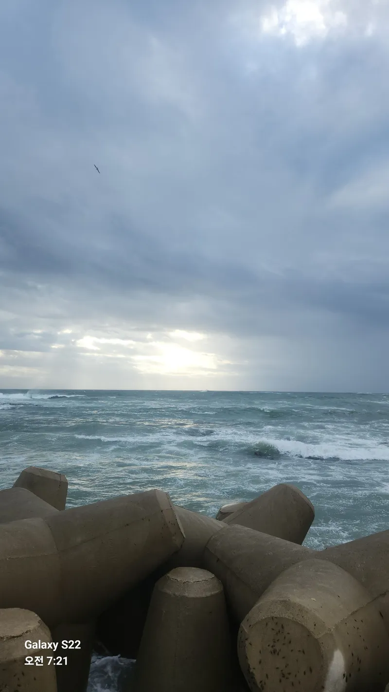 [Pohang] Pension 1st floor 101 with ocean view 40