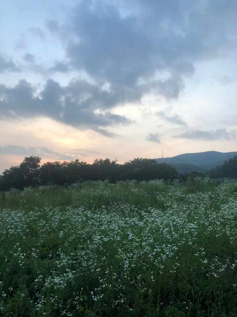 [Pyeongchang] Daegwallyeong Sky Fragrance Pension E 14