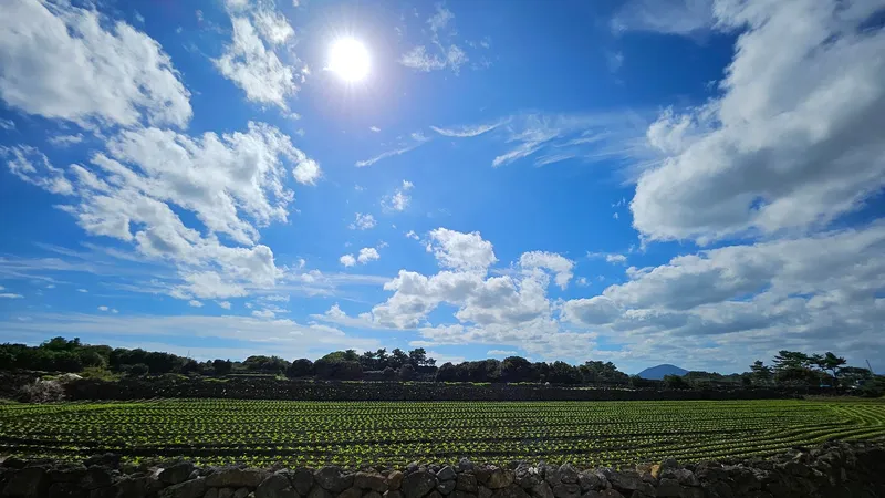 [Gujwa, Jeju] A detached house with a beautiful view of the sea, stone walls, and fields, 30 seconds from the entrance to the complex. 91