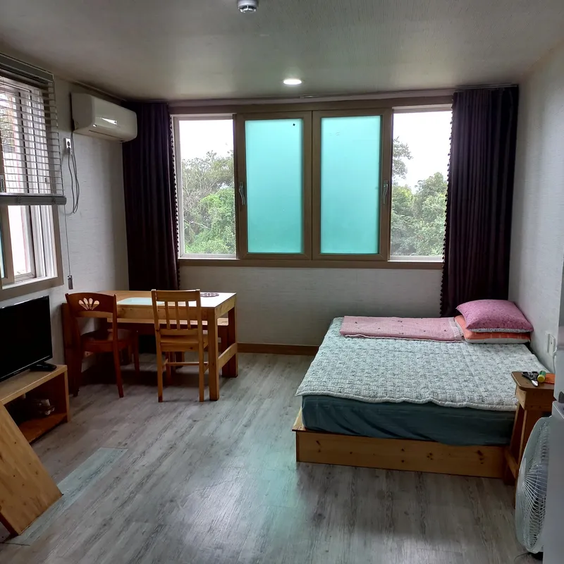 [Pyoseon, Seogwipo] 201, a country house full of humanity in a palm tree forest by the sea 9