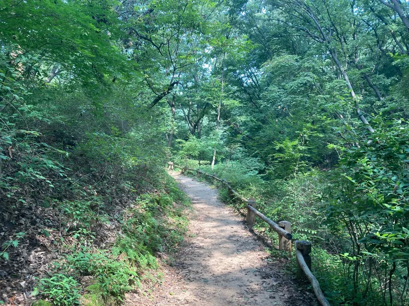 [Jongno, Seoul] Buam Stay 22