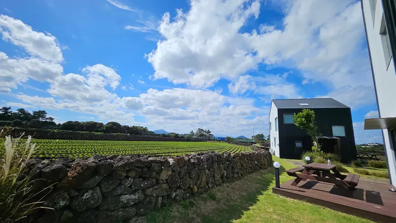 [Gujwa, Jeju] A detached house with a beautiful view of the sea, stone walls, and fields, 30 seconds from the entrance to the complex. 89