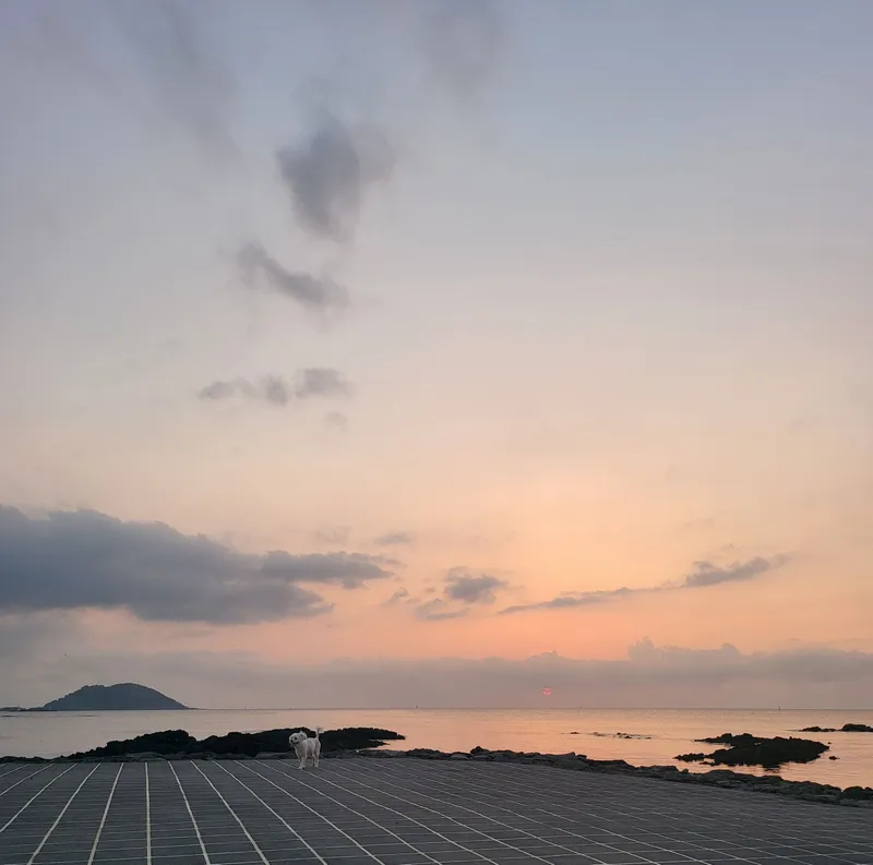 [제주 한림][제주 서쪽한림] 노을보며 힐링하는 투룸 주택 #비양도 15