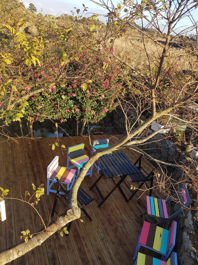 [Gujwa, Jeju] 500-pyeong flower yard independent pool villa better than swimming steam sauna Nakako front view #Cherry blossoms 33