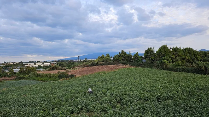 [Aewol, Jeju] Susan-ri Independent Stay 34