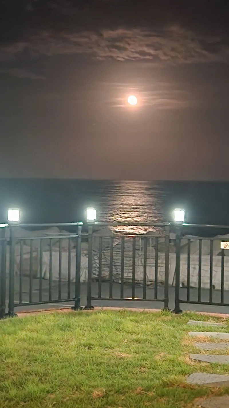 [Pohang] Pension 1st floor 101 with ocean view 51