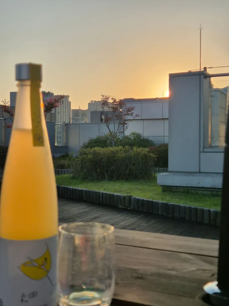 [Jung-gu, Seoul] 5 minutes from Myeongdong, Euljiro Chungmuro emotional accommodation 05-24 24