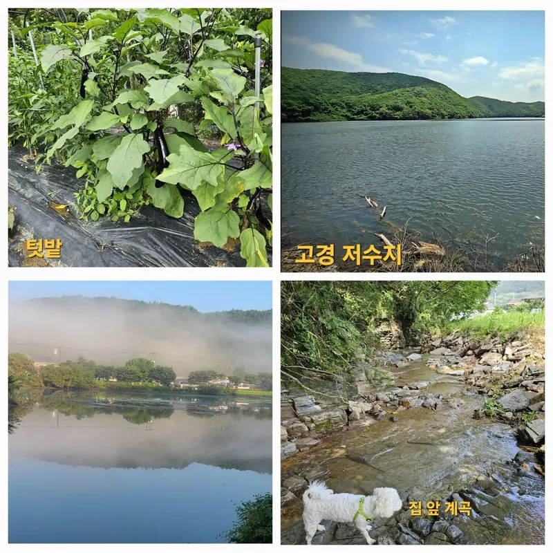 [경북 영천] 숲세권 단독 전원주택  #반려동물 27