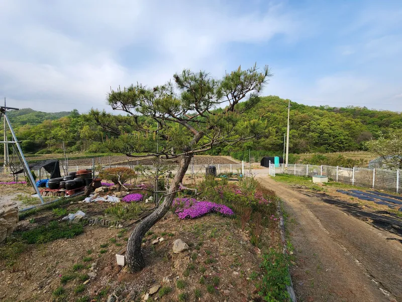 [Yangju][Gyeonggi Yeoncheon] Yeoncheon 1,000 pyeong independent country life 14