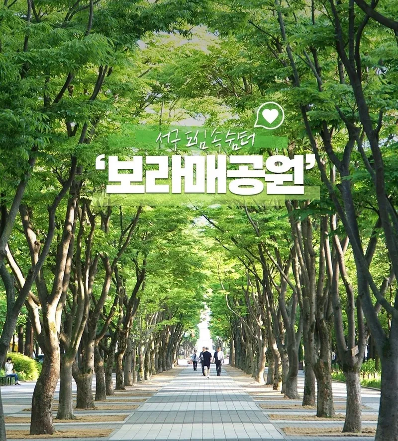 [대전 서구] 둔산·괴정, 탄방·용문동 풀옵션 아늑한 주차 가능 초특가 18