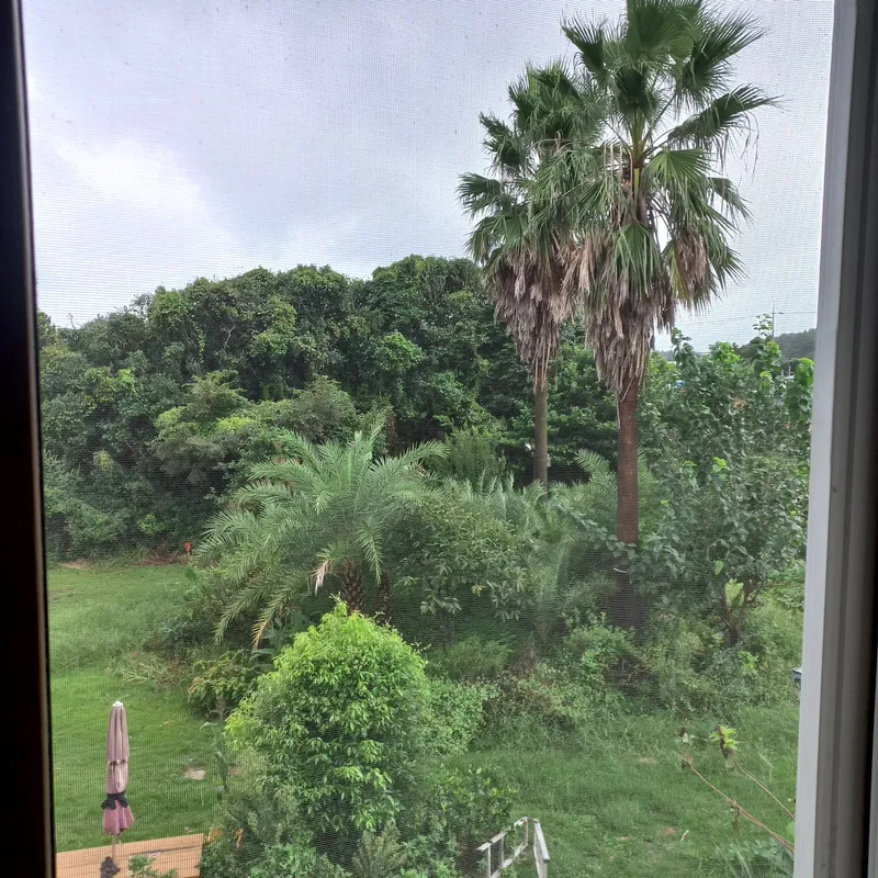 [Pyoseon, Seogwipo] A country house full of humanity in a palm tree forest by the sea, No. 202 20