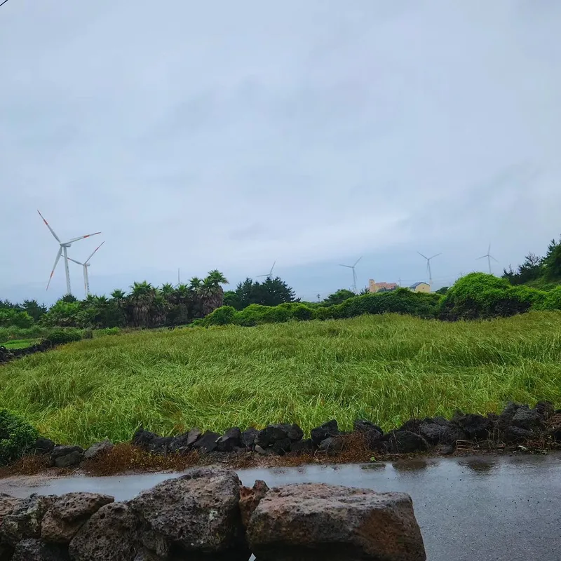 [제주 한경] 풍차뷰가 보이는 신창해안도로 단독주택 19