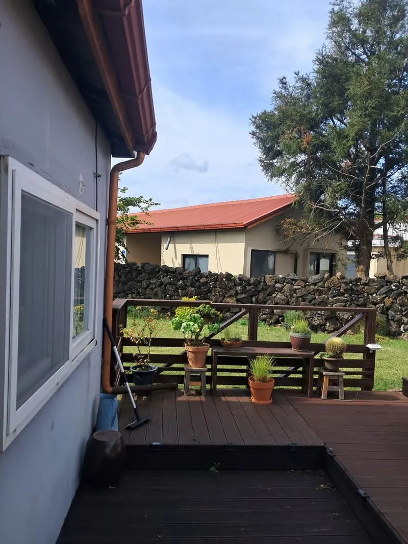 [제주 한림] 신상숙소#돌담집#애견동반가능 #잔디마당 .관리비무료 41