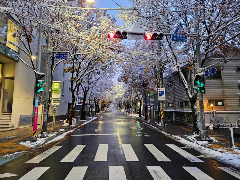 [서울 마포] 핫플합정홍대올리모델링2룸(채광좋고햇볕좋은1층같은살짝반지층) 109