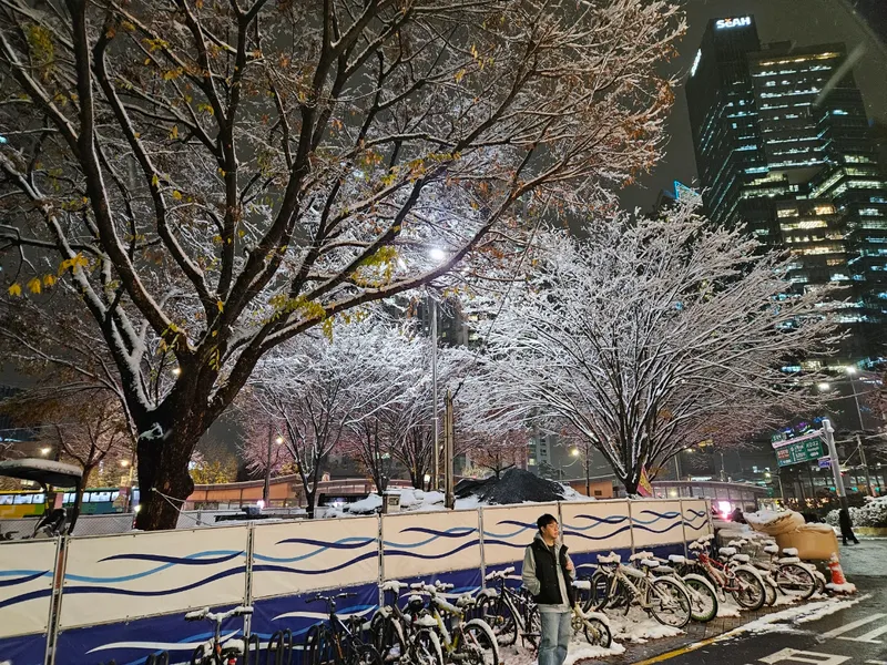 [서울 마포] 핫플합정홍대올리모델링2룸(채광좋고햇볕좋은1층같은살짝반지층) 102